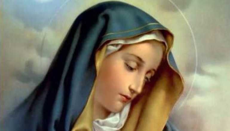 54 DAY ROSARY NOVENA: DAY 8 – WITH HER YOU CAN